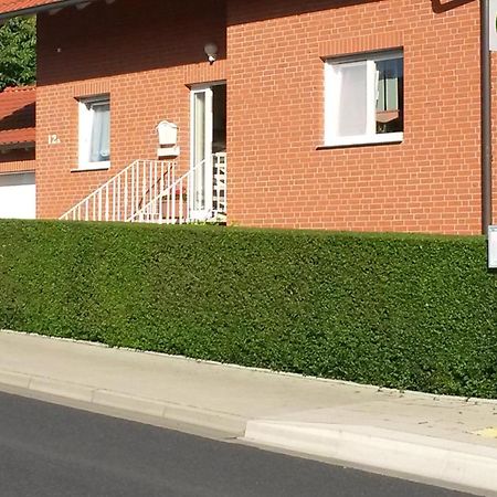 קאסל Apartment Mit Blick Auf Herkules Mit Parkplatz מראה חיצוני תמונה